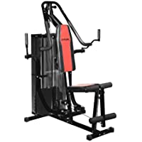 SportPlus SP-HG-012 Estación Ejercicios y Musculación para Entrenamiento en Casa – Ideal para Techos Bajos – Pesos…
